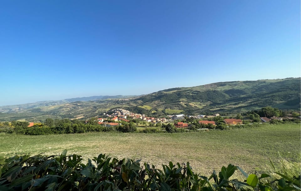 view-from-room
