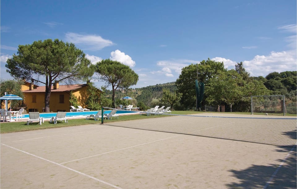 tennis
