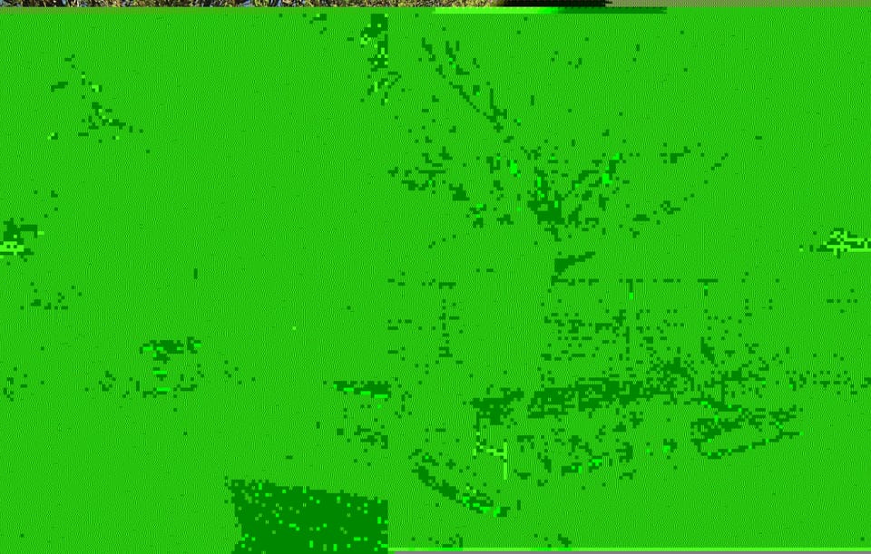 outside