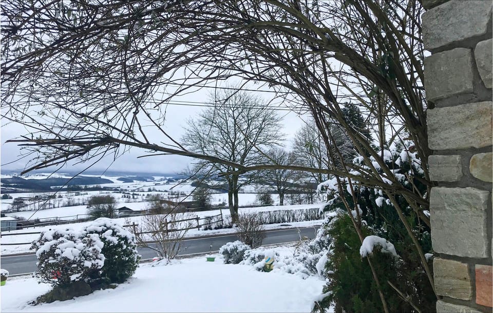 view-from-room