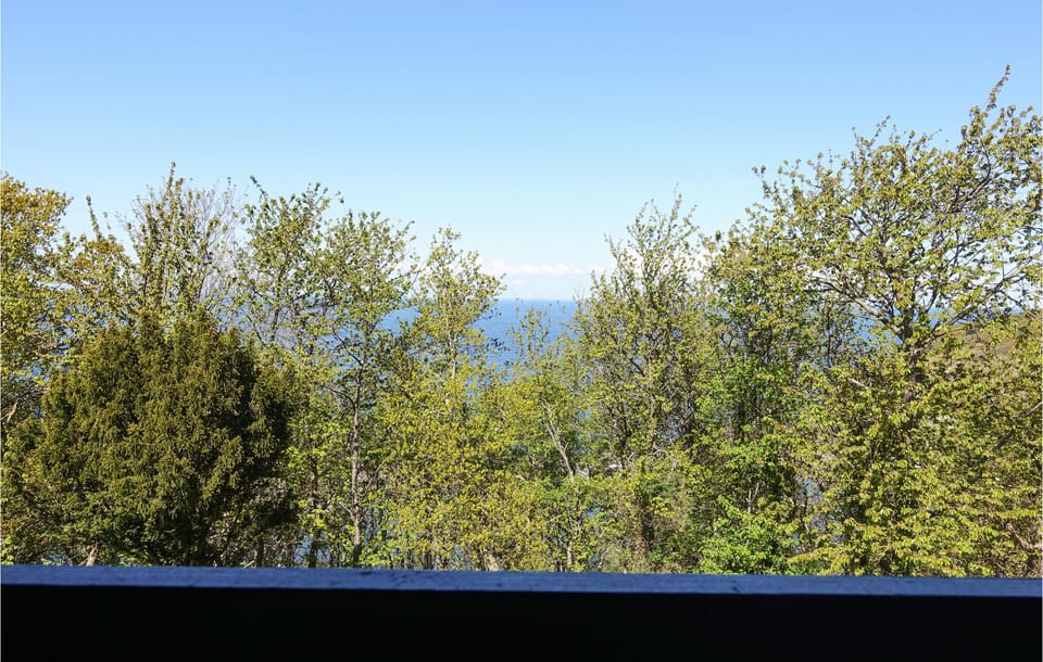 view-from-room