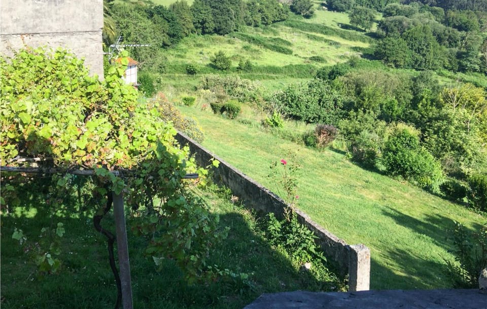 view-from-room