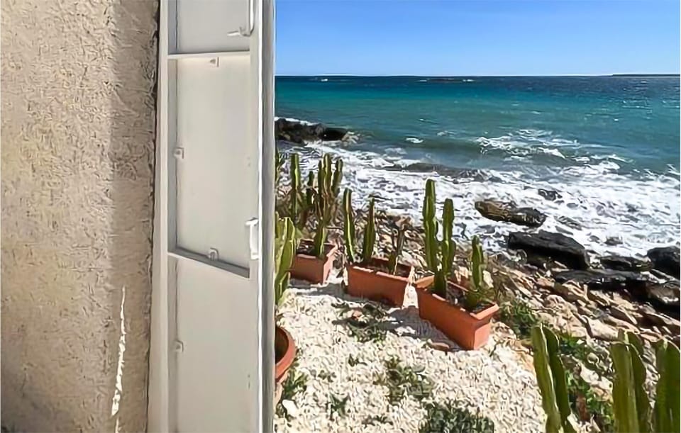 view-from-room