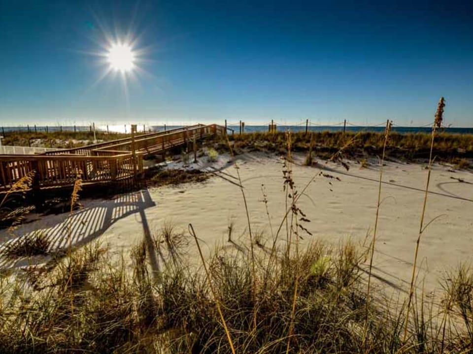 Boardwalk