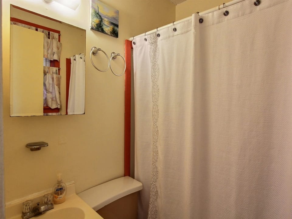 Curtain