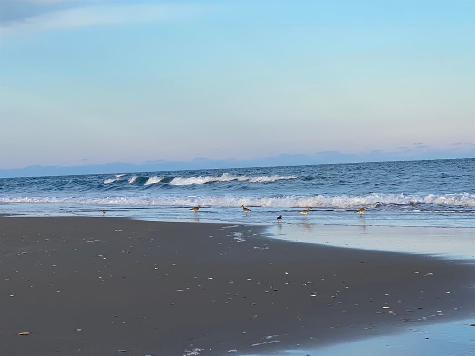 Water