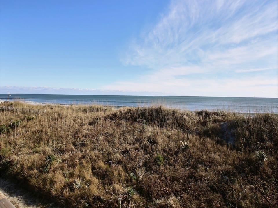 Land