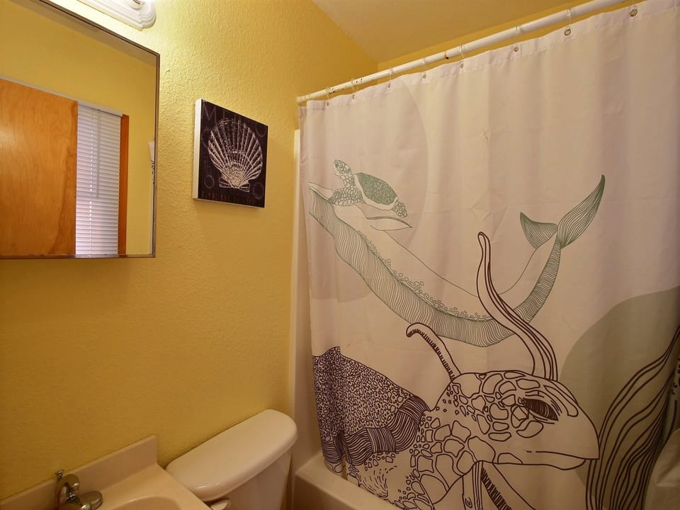 Curtain