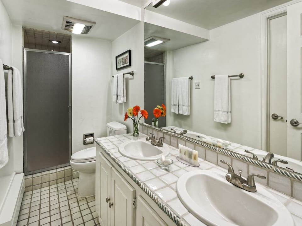 Double Sink
