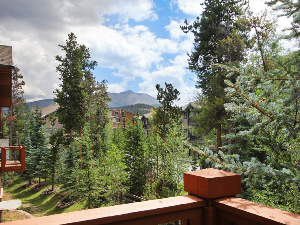 2Br 2Ba Winter Retreat Walk to Historic Downtown + Gondola Townhouse in Breckenridge