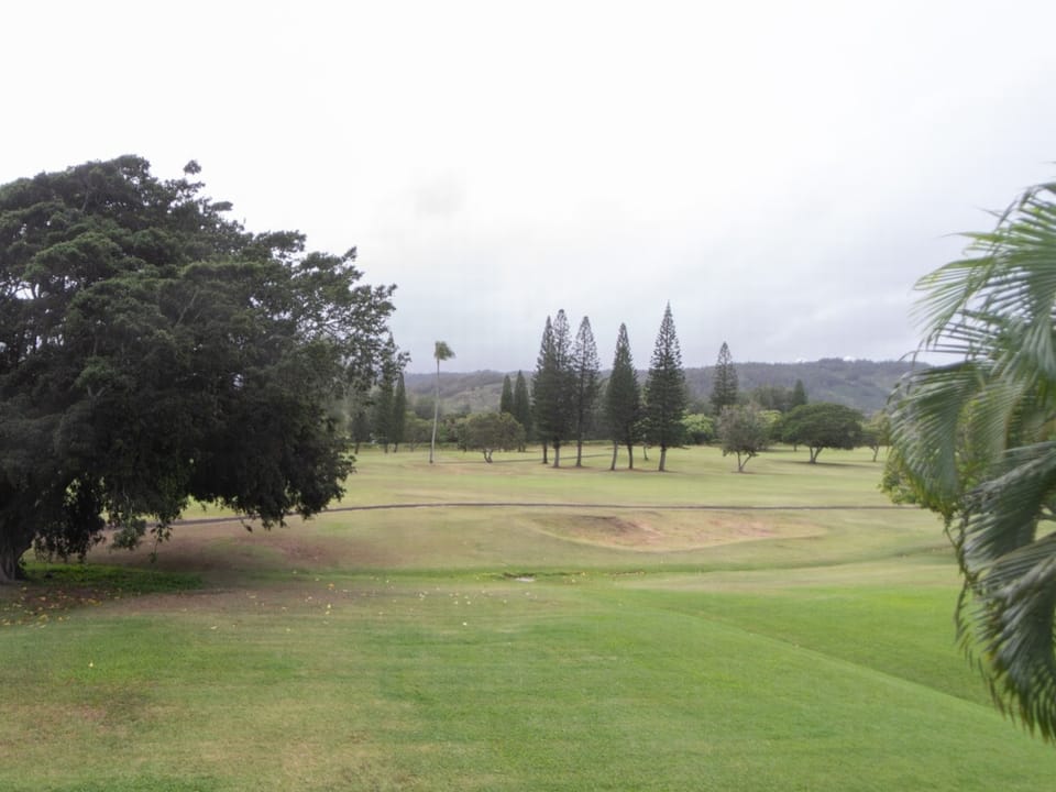 Field