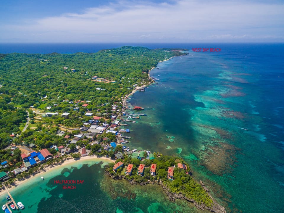 Aerial view of West end