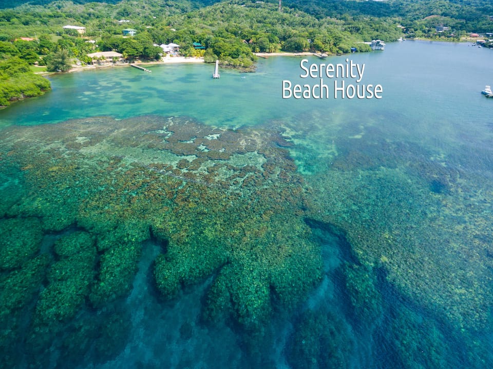 Aerial View of our coral reef and the beach in front of our house