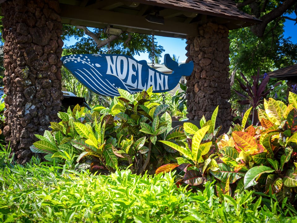 Welcome to the Noelani