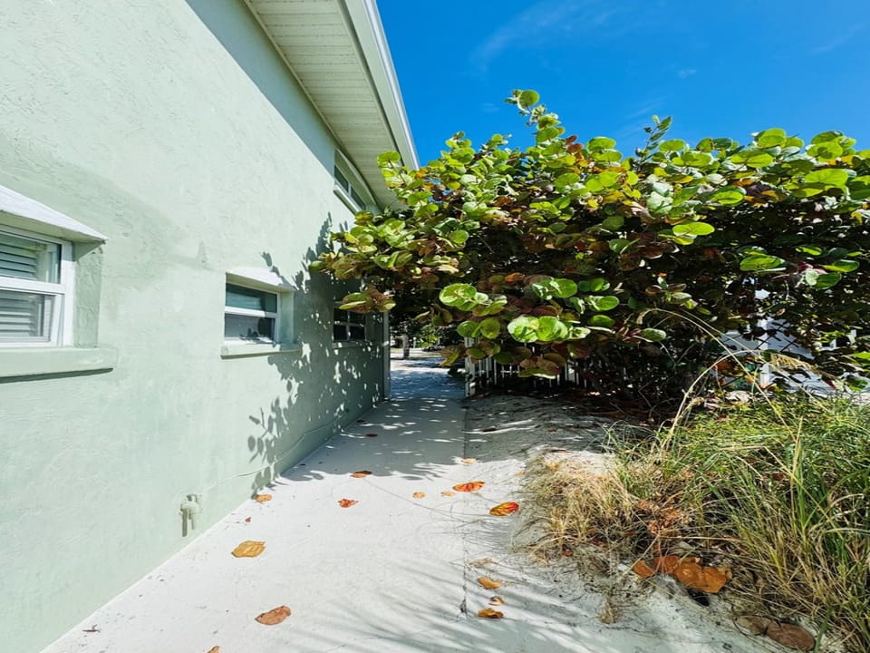 Vegetation