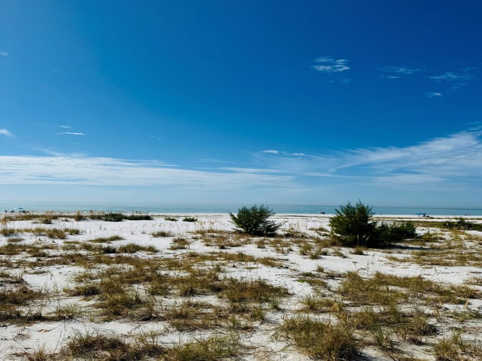Horizon