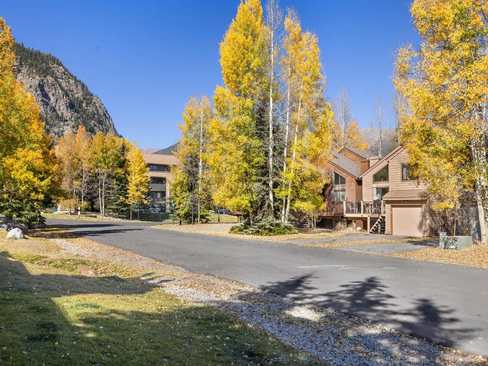 Mountainside 523