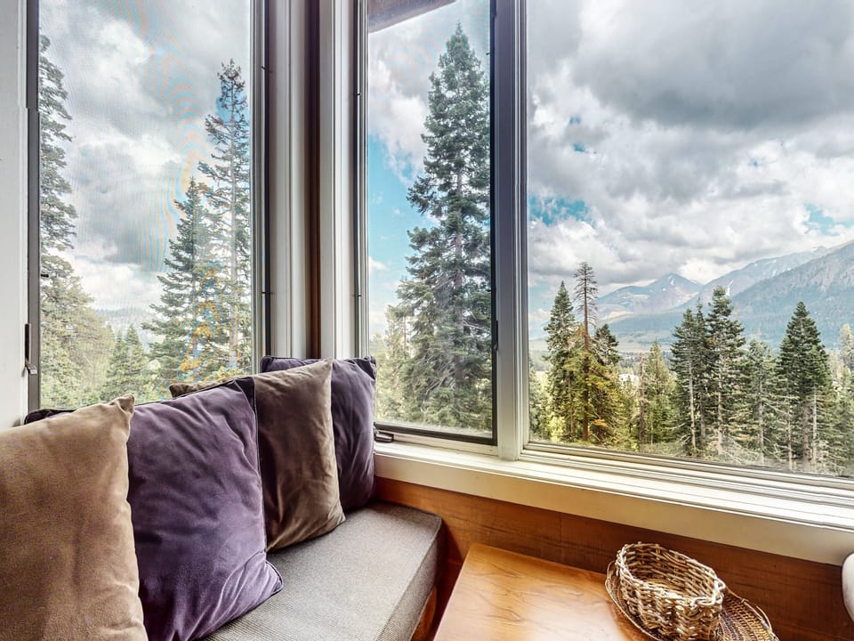 Window