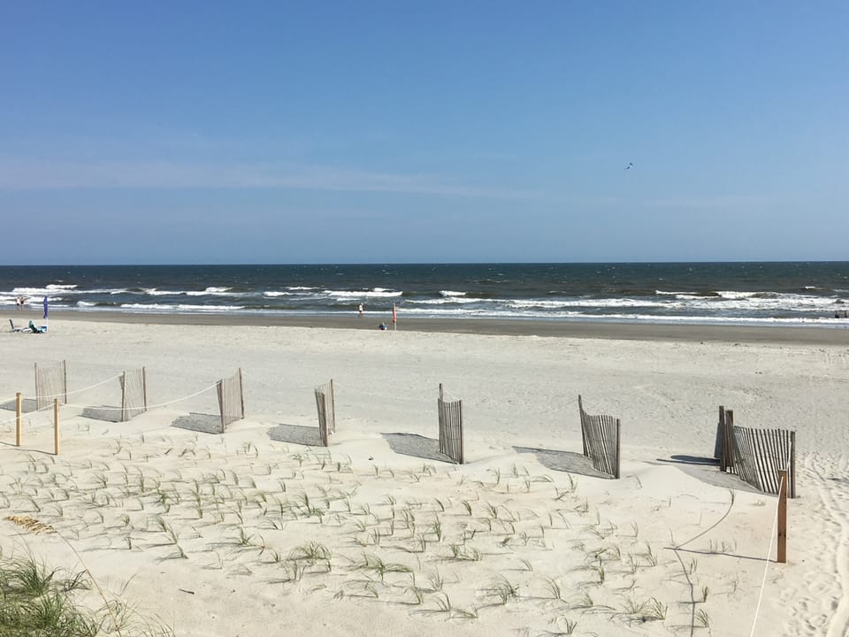 Beach View