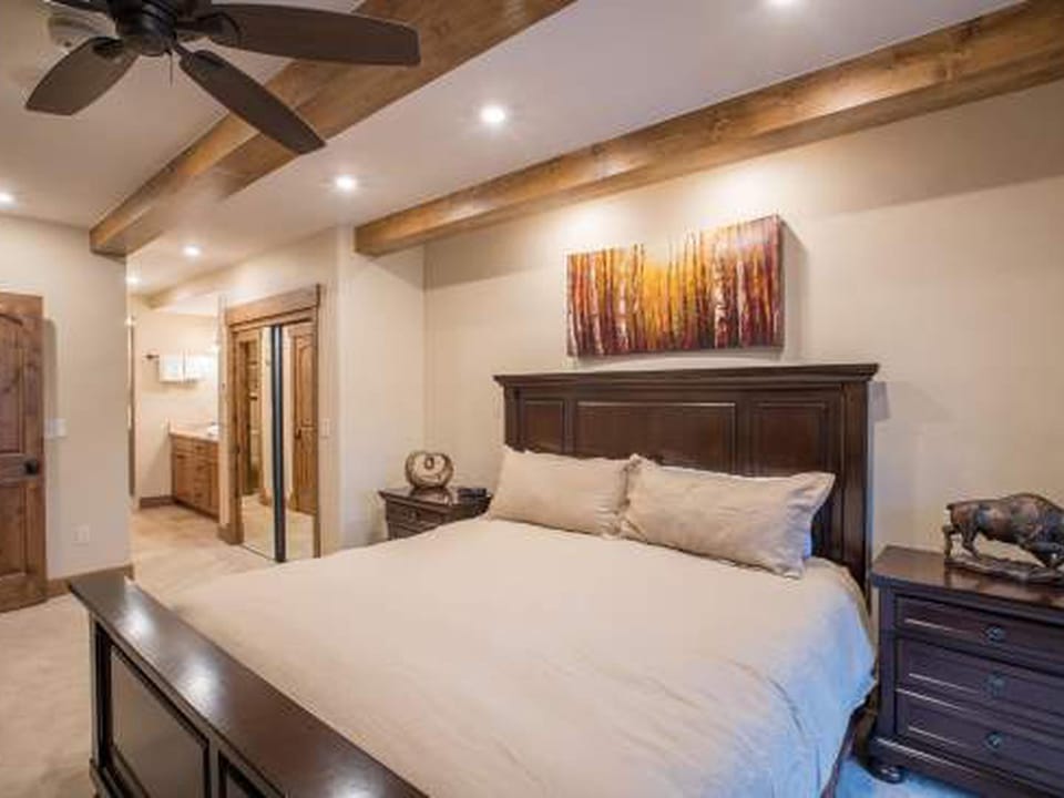Ceiling Fan