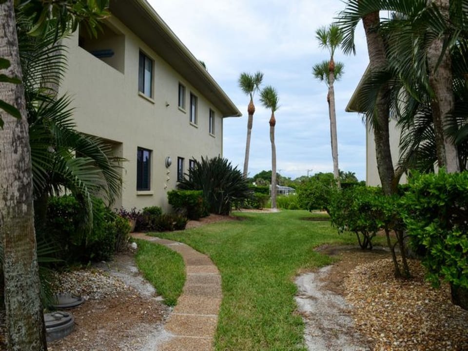 Side view