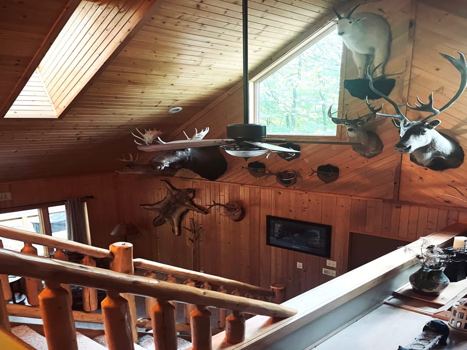 Indoors