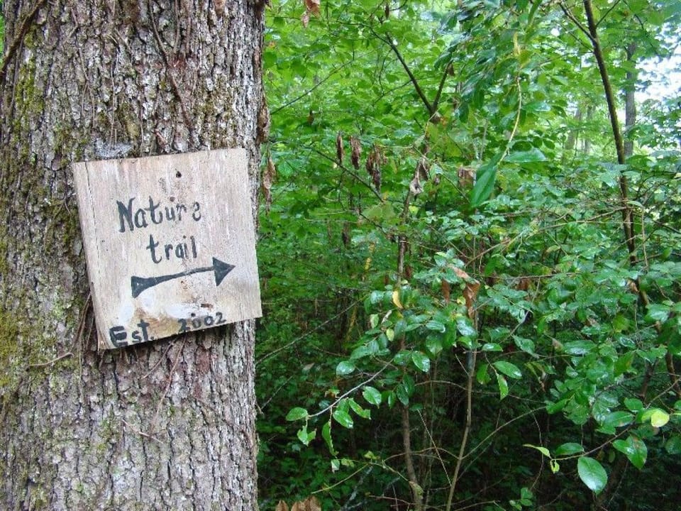 Anyone up for a hike!