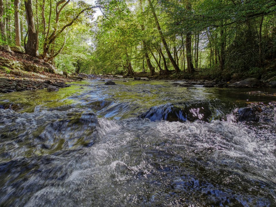 Creek 1