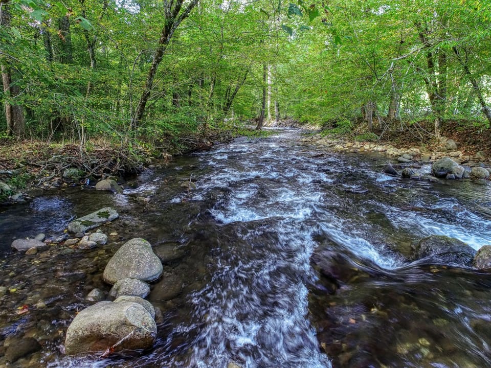Cosby Creek 3