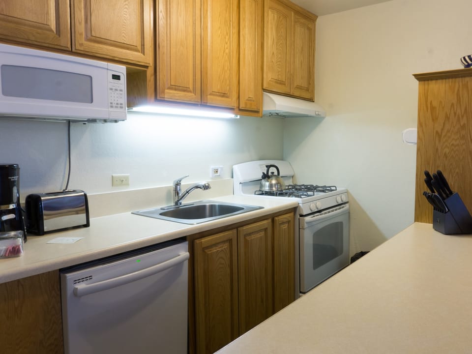 Studio- Fireplace, Full kitchen, balcony, Walk the Village Apartment in Northstar Drive