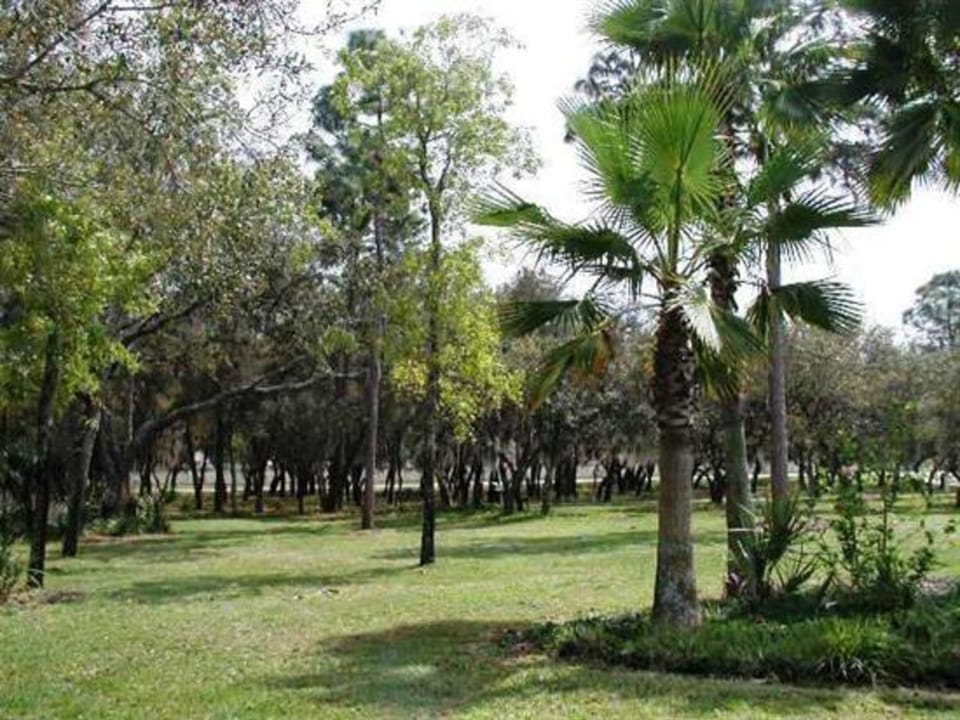 PRIVACY FENCE, BBQ GRILL. ONLY A FEW MINUTES FROM DISNEY, GROCERIES AND RESTAURANT House in Four Corners