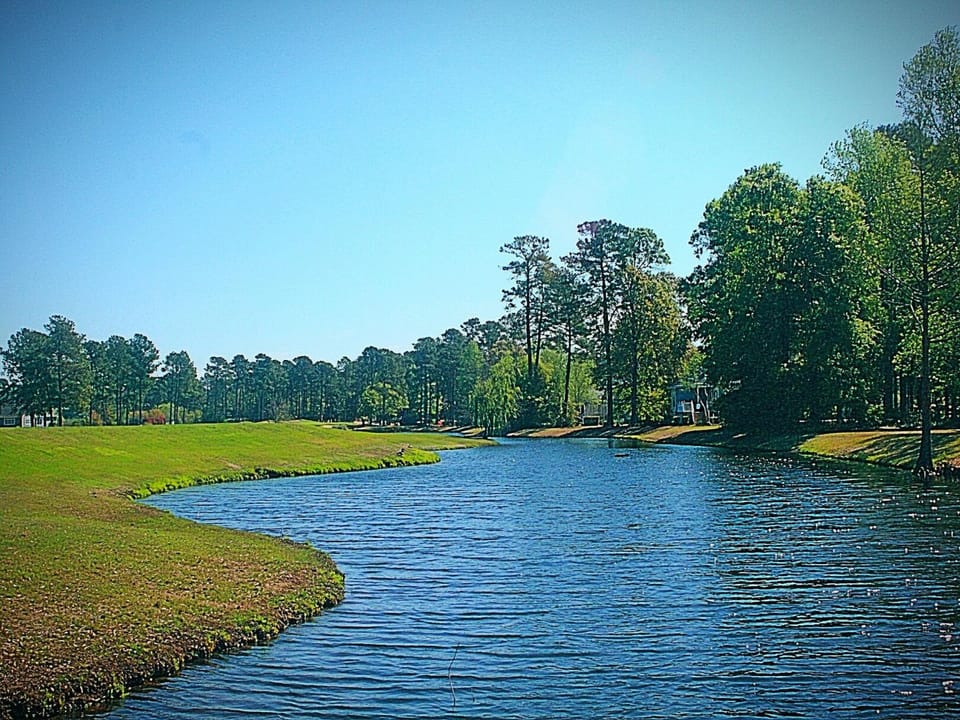 Nature