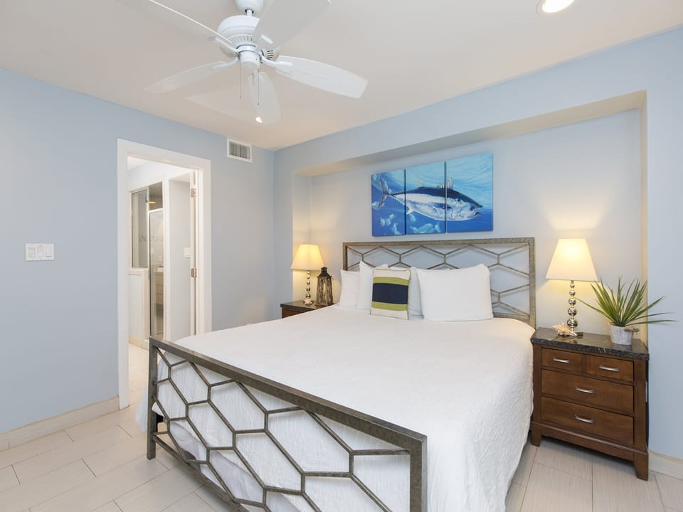 Ceiling Fan