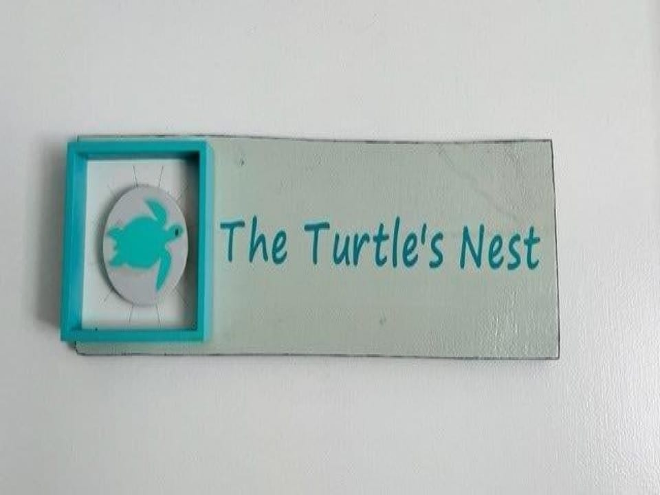 The Turtle's Nest