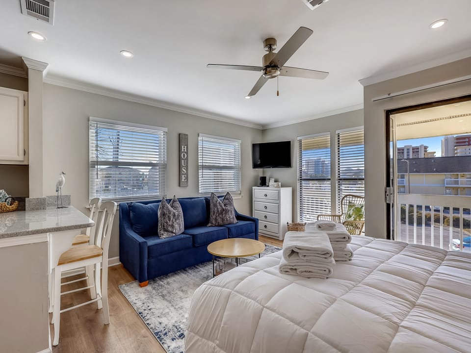 Living room/Sleeping Area