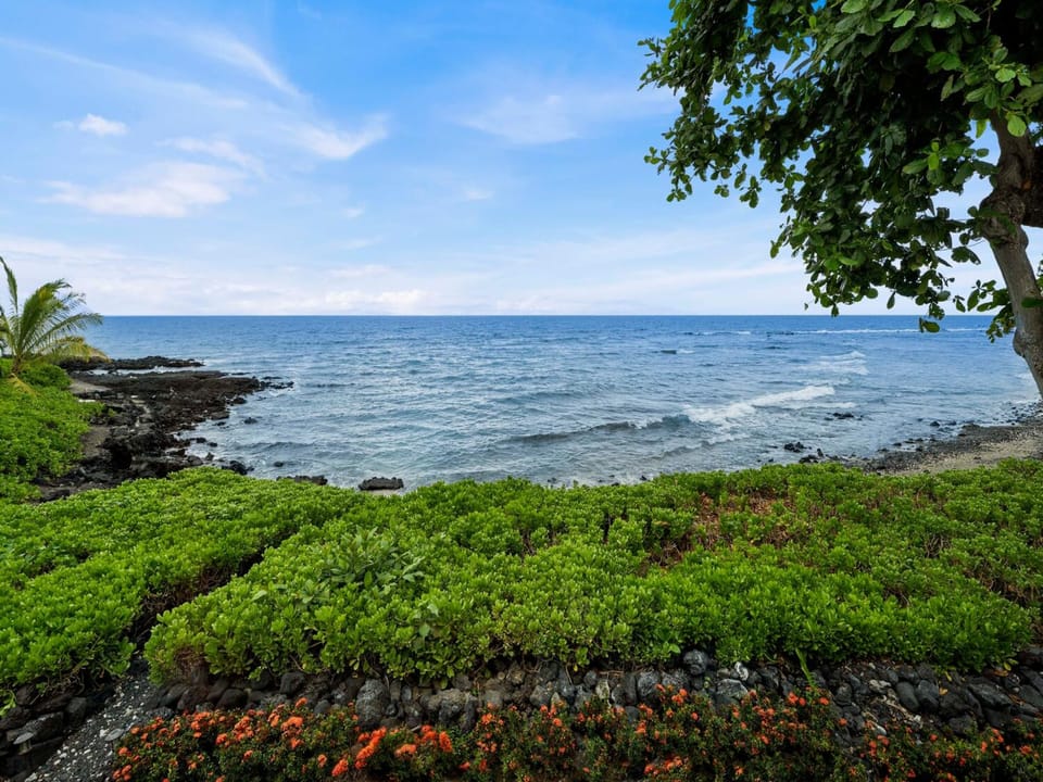 Your Beach Front Yard!
