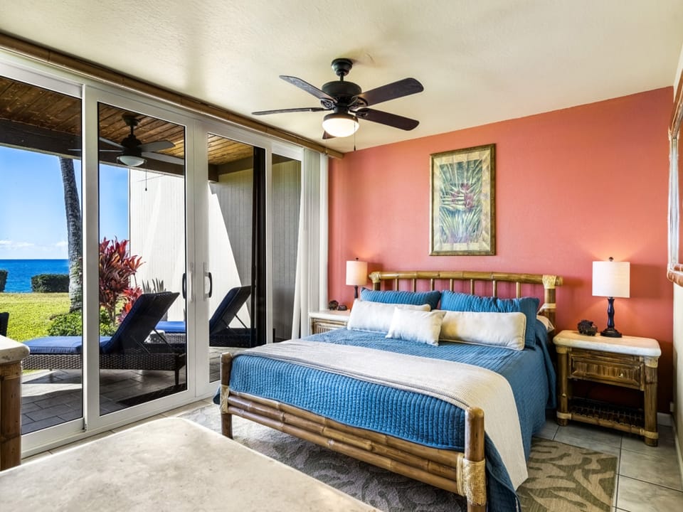 Ceiling Fan