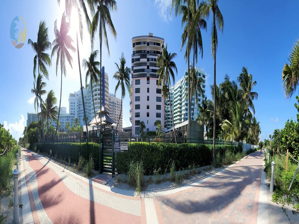 Palm Tree