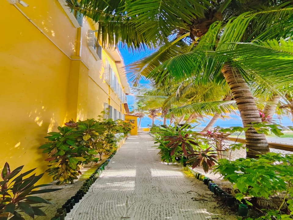 Side pathway from back gate