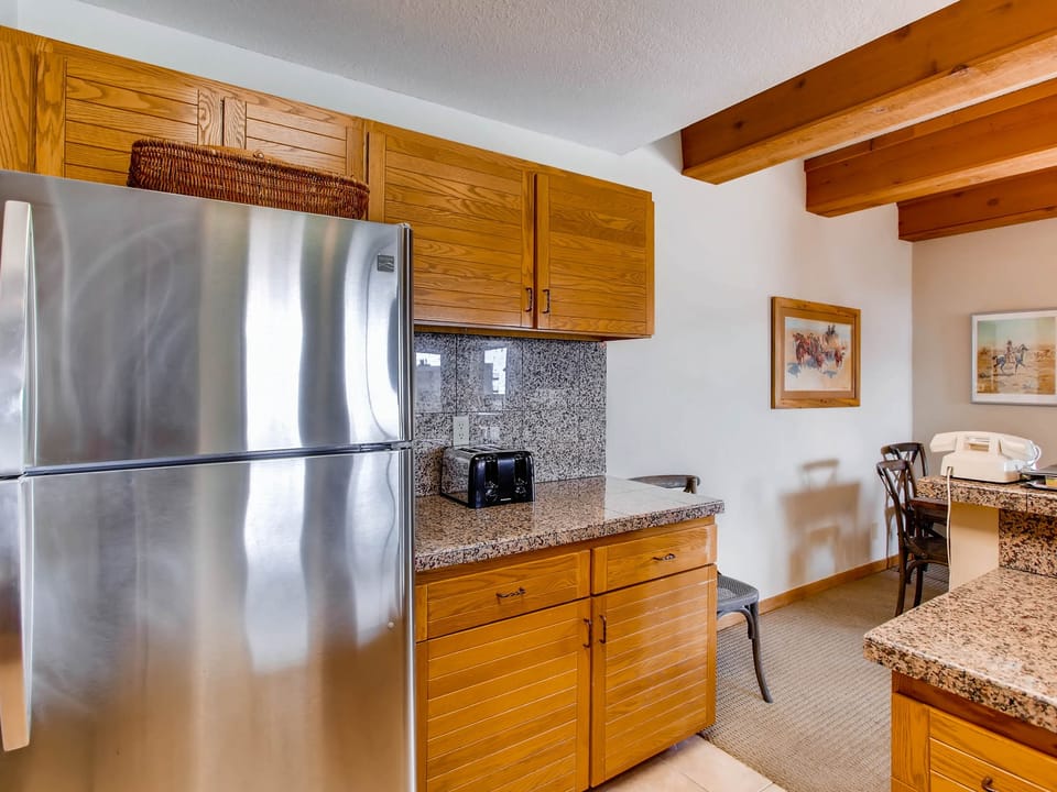 Unique & Modern 2 BR Condo With Fireplace Apartment in Colorado