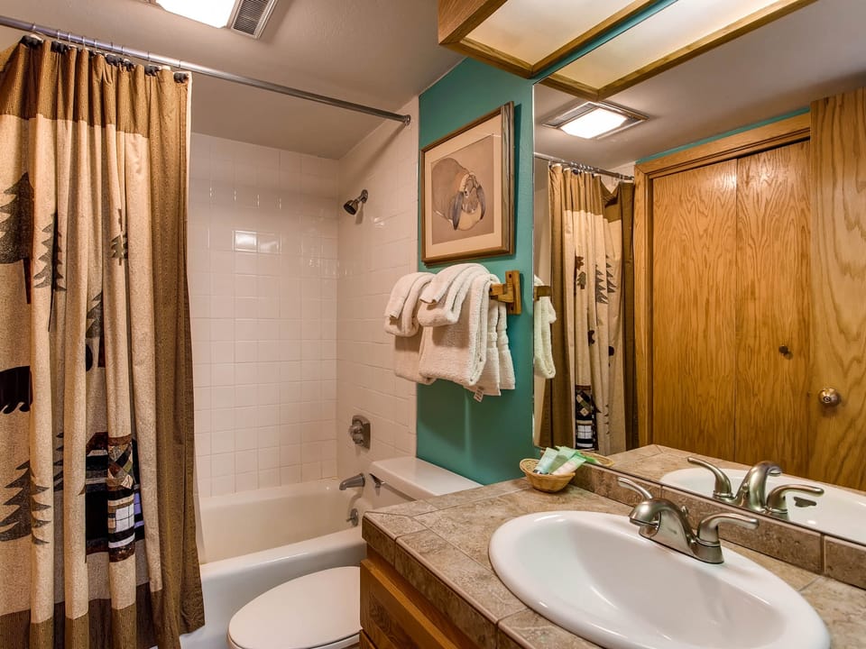 Updated 1 BR Condo - Ski-in/Ski-out Access Apartment in Colorado