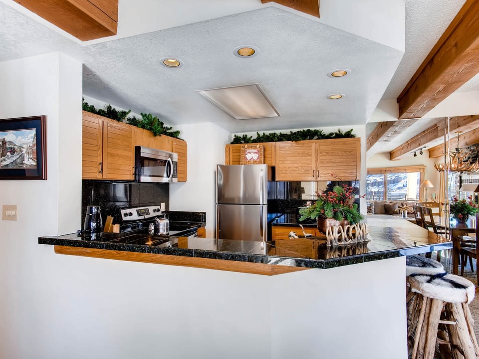 2BR Gorgeous Plaza Condo with Fireplace Apartment in Colorado
