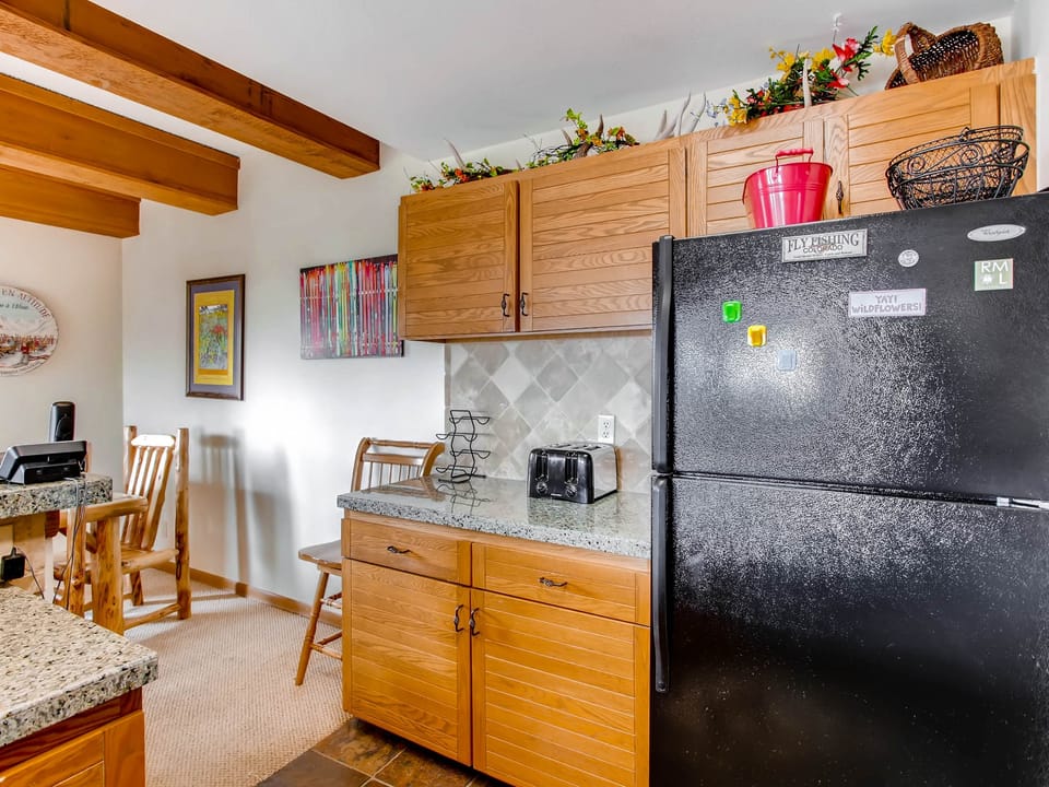 Rustic & Cozy 3 BR Plaza Condo Apartment in Colorado