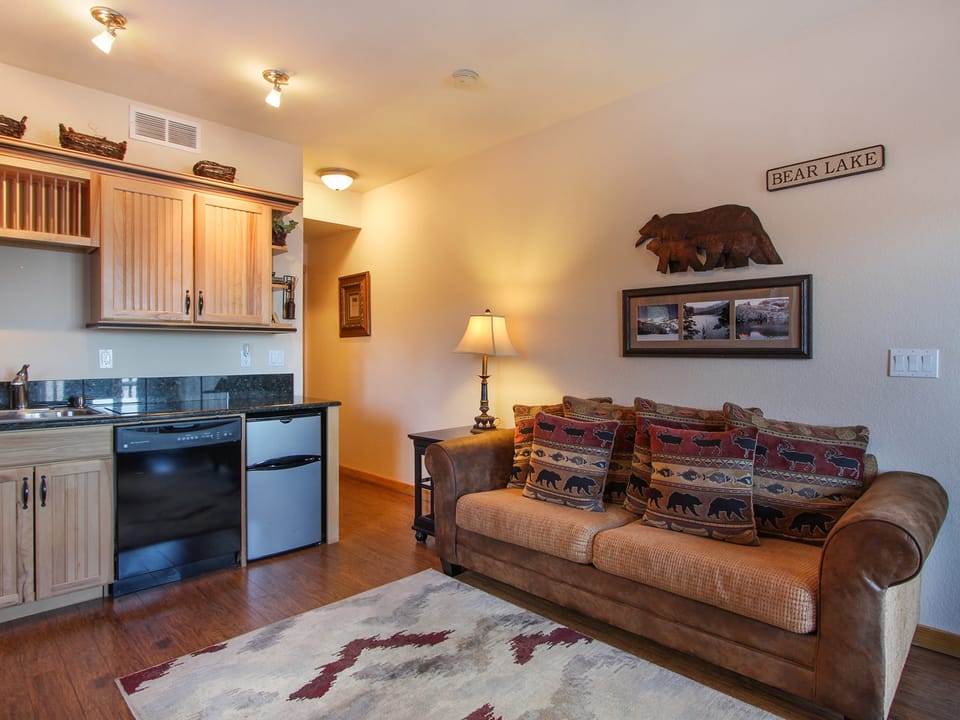 Lookout Mountain 27B - Comfortable queen sleeper sofa opens up to the efficiency kitchen.
