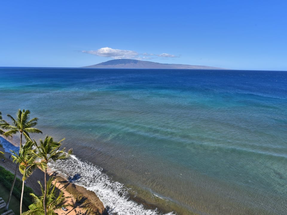 Sea