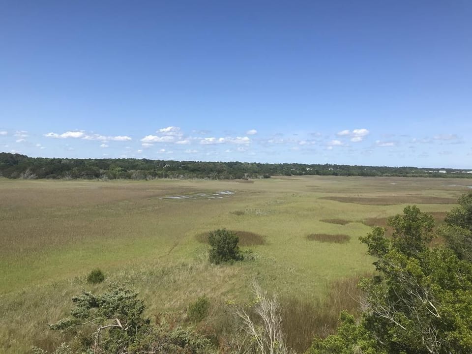 Marsh View