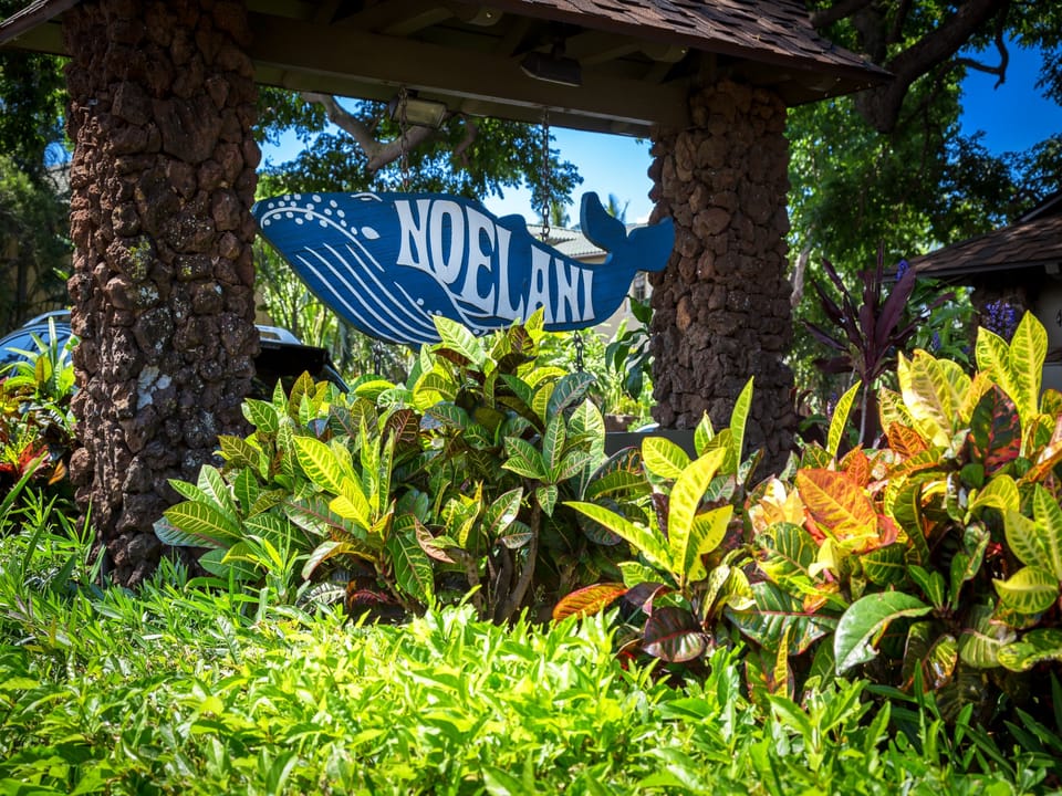 Welcome to the Noelani