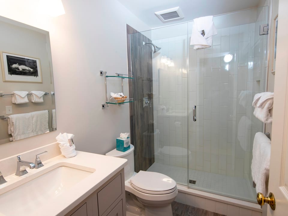 Modern & Updated Winterplace 3Br- Sleeps 12 Apartment in Vermont
