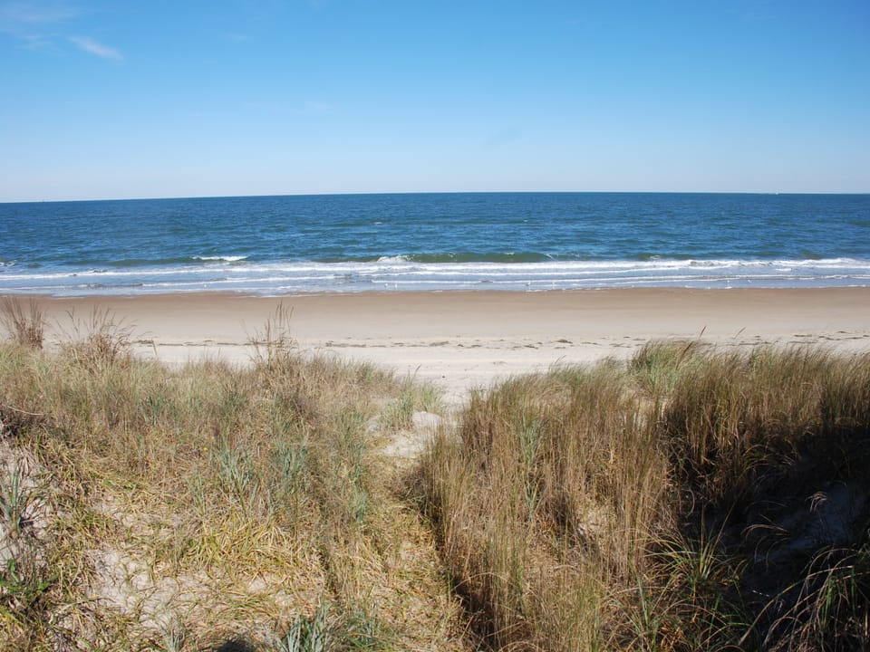 Sea
