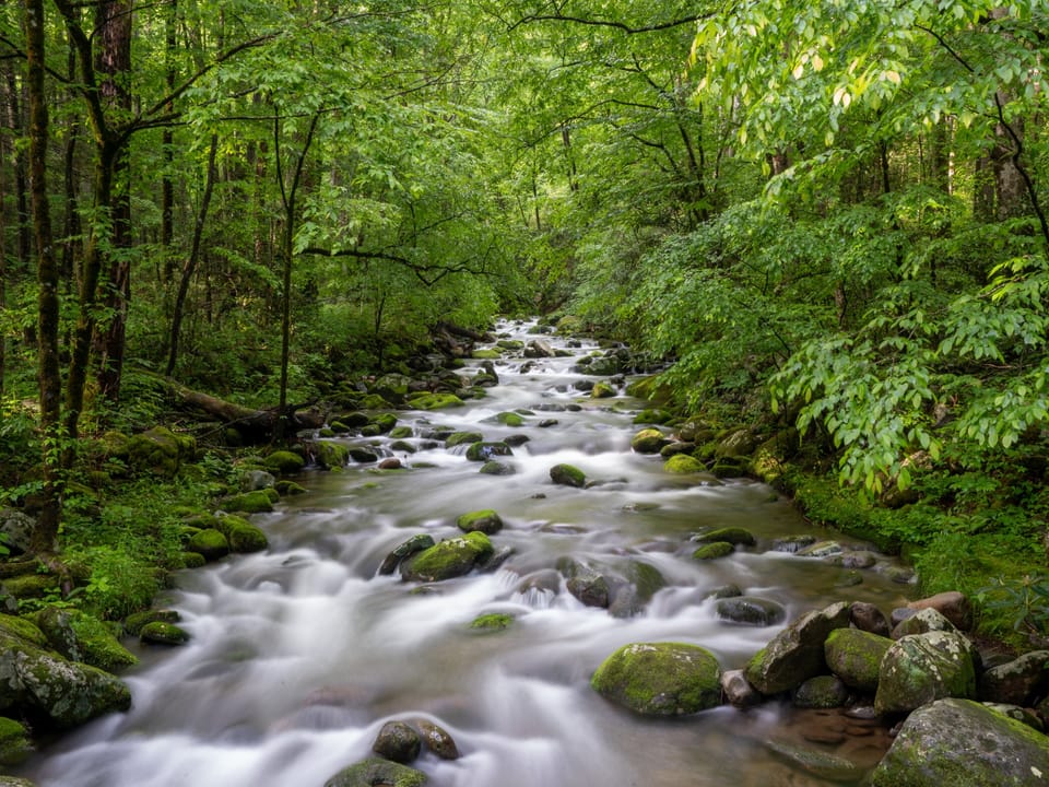 Nature